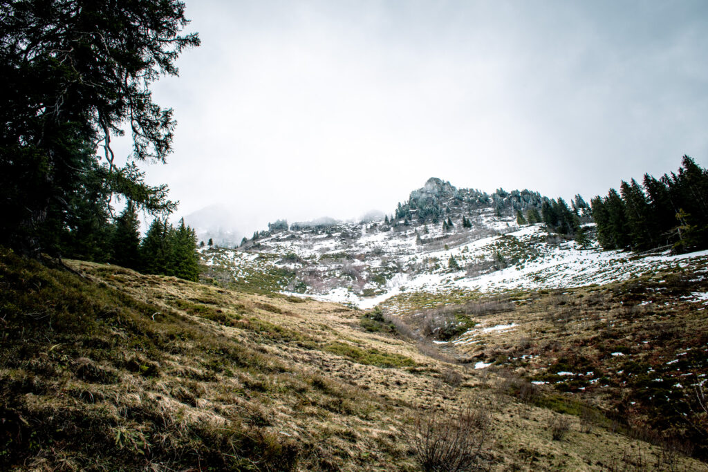 Hike wengen - Burglauenen